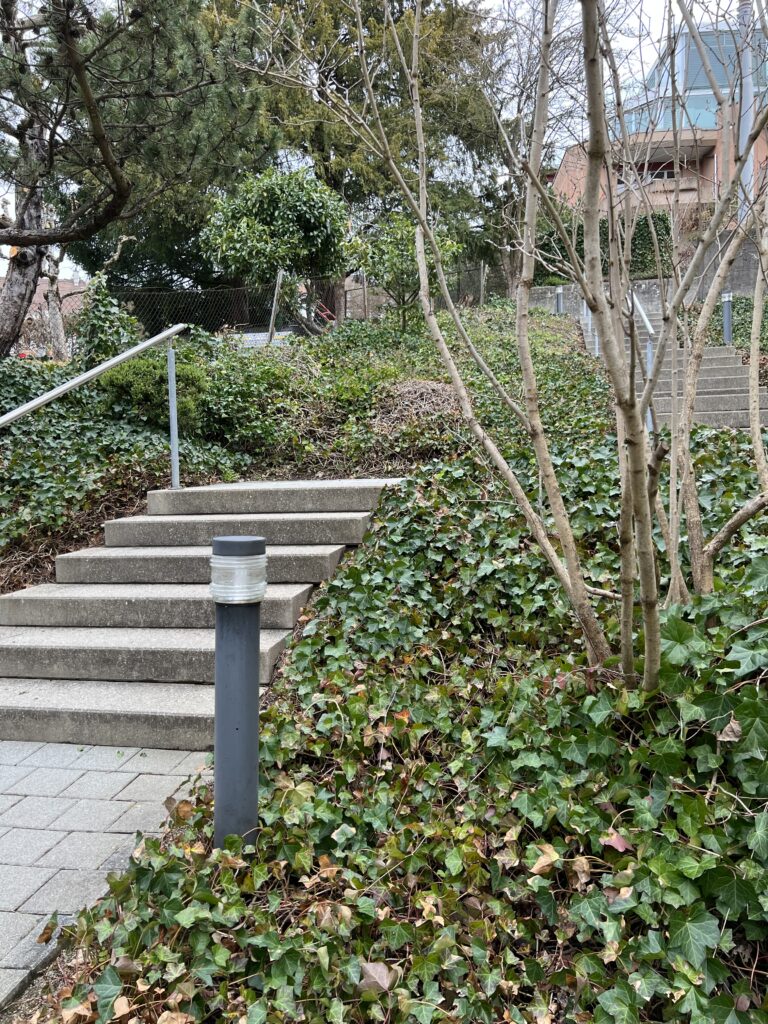 Beleuchtung Limmtahlstrasse 3