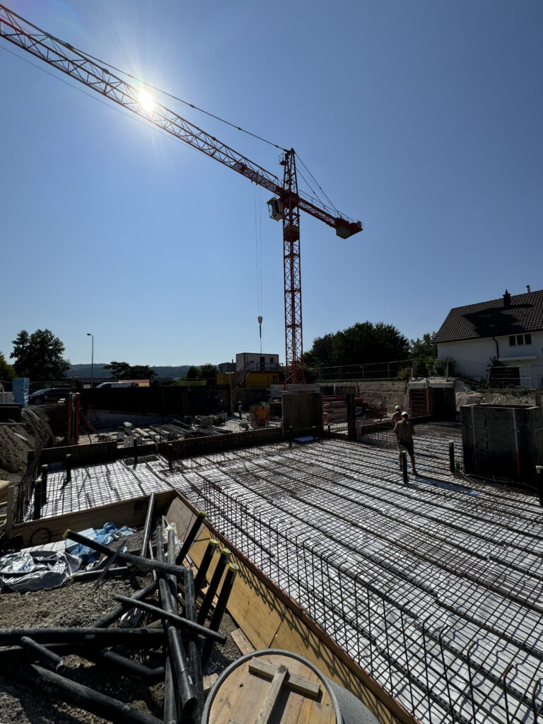 Neubau Schwerzenbach 1